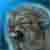 :icon00-wolf-00: