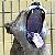:icon00018: