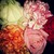 :icon000hope000:
