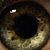 :icon007-fleetingpassions: