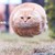 :icon00923cirtcele: