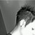 :icon0123myers: