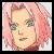 :icon012601sakuraharuno: