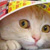 :icon01408: