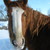 :icon02031993: