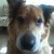 :icon024caitlyn: