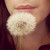 :icon028091: