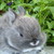 :icon0302crystal: