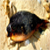 :icon0626theresa: