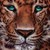 :icon07808027419: