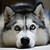 :icon07c1215026f: