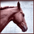 :icon0802gwiazdeczka: