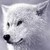 :icon0-arktiswolf-0: