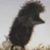 :icon0-gaaratobi-0: