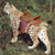 :icon0bobcat0: