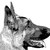 :icon0bovine: