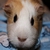 :icon0brainstorm0: