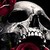 :icon0celon: