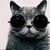 :icon0cto-pussy: