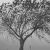 :icon0eternally0dead0:
