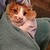 :icon0ginga0: