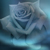 :icon0hallow0: