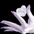 :icon0hotaru0: