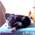 :icon0Josh0: