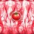 :icon0ketchup-freak0: