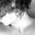:icon0lain0: