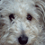 :icon0layla-rainbow0: