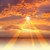 :icon0littlemisssunshine4:
