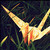 :icon0oaliceo0: