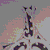 :icon0odick0o: