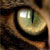 :icon0ofrozentearo0: