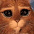 :icon0oleticiao0: