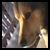 :icon0pearl0: