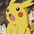 :icon0russet-meerkat0: