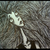 :icon0thaliagrace0: