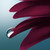 :icon0unwritten-seal0:
