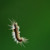 :icon0utoffocus: