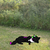 :icon0violet-moon0: