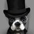 :icon0vodkat0: