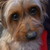 :icon0wolfgirl1: