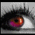 :icon1000900054: