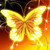 :icon1000goldbutterflies: