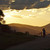 :icon1001animallover: