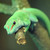 :icon1001colours: