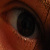 :icon100kiwiseeds: