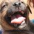 :icon104036751: